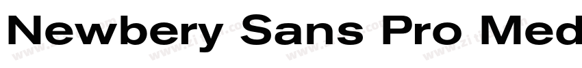 Newbery Sans Pro Med字体转换 Newbery Sans Pro Med字体转换